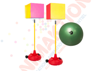 Poull Ball
