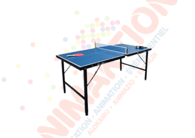 Mini tennis de table