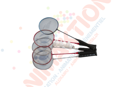 Badminton